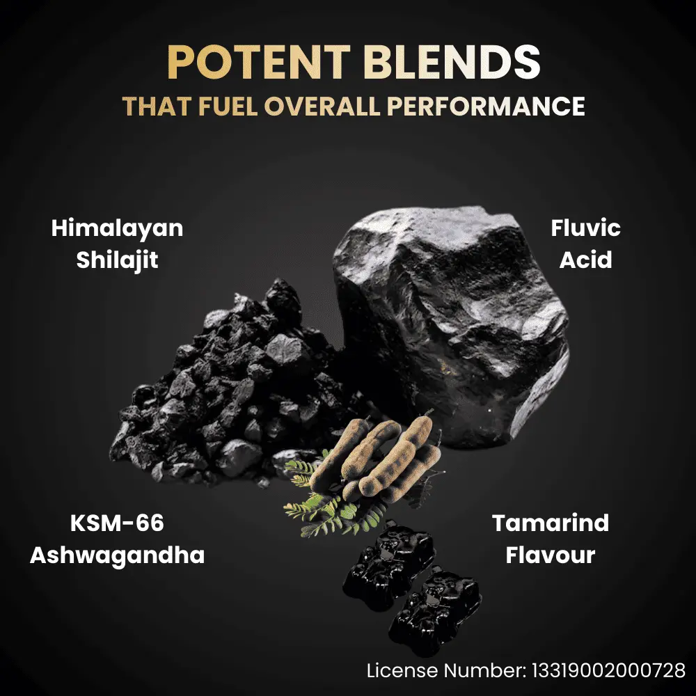 Nutrinol Shilajit Gummies | Shilajit Resin (Asphaltum punjabianum) | Dietary Supplement Gummies (30 gummies) - Image 3