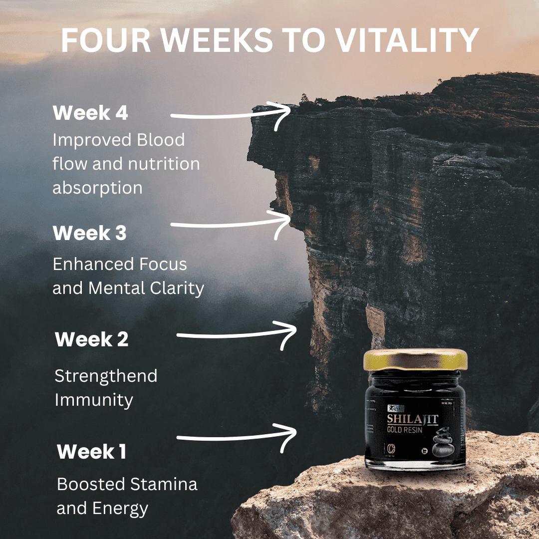 Knoll Shilajit Resin | Purified Shilajit Resin 750 mg | Dietary Supplement | 50gm | 100 servings - Image 6