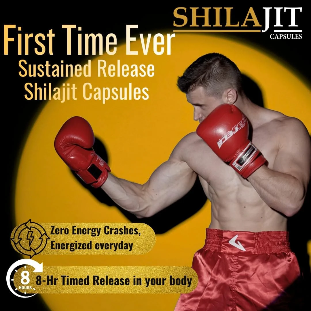 Knoll Shilajit Capsules | Shilajit Extract (Asphaltum) with Fulvic Acid | 100% Vegetarian (Pack of 3) Capsules - Image 7