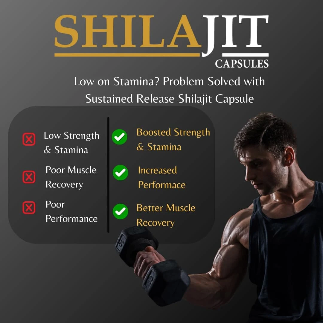 Knoll Shilajit Capsules | Shilajit Extract (Asphaltum) with Fulvic Acid | 100% Vegetarian (Pack of 3) Capsules - Image 8